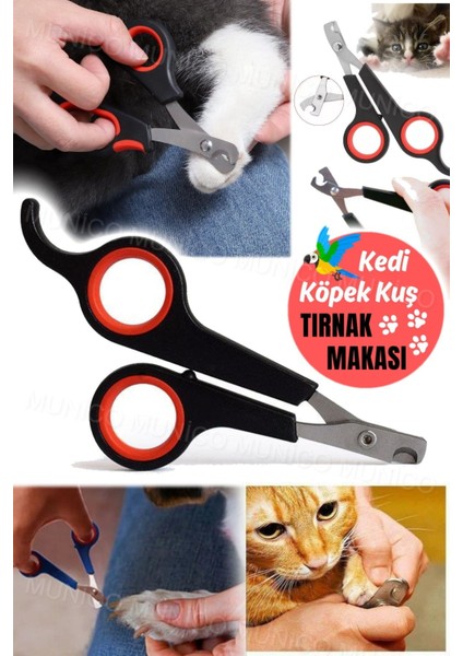 Kedi Köpek Kuş Kedi Tırnak Makası Paslanmaz Çelik Makas Mini Tırnak Pençe Kesme Şekillendirme Makas indirimleri