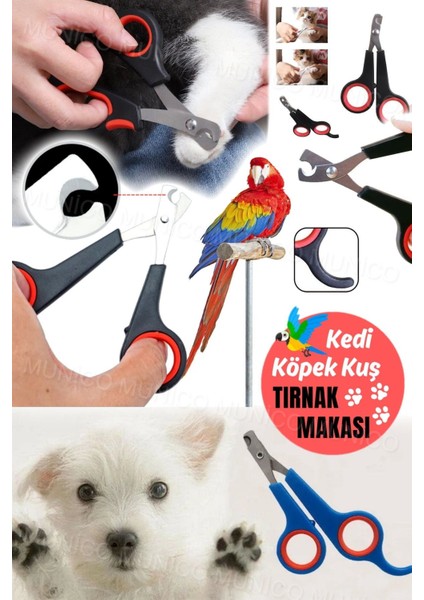 Kuş Papağan & Kedi & Köpek Oval Tırnak Kesme Makası Bakım Pensesi Taşınabilir Mini Hayvan Severlere