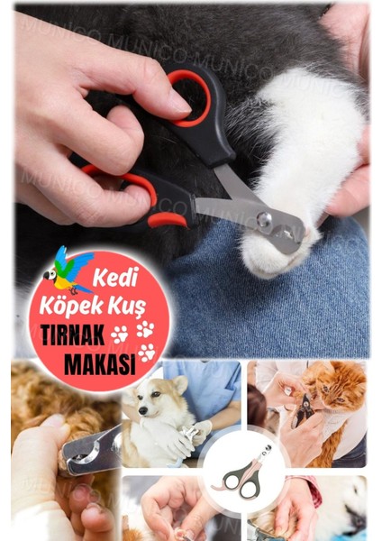 Kuş Papağan & Kedi & Köpek Oval Tırnak Kesme Makası Bakım Pensesi Taşınabilir Mini Hayvan Severlere modelleri