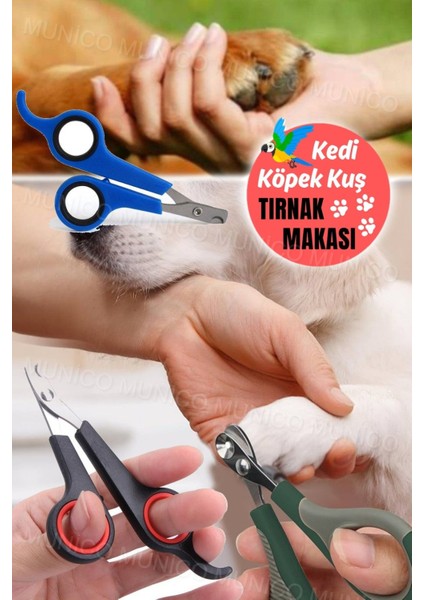 Kuş Papağan & Kedi & Köpek Oval Tırnak Kesme Makası Bakım Pensesi Taşınabilir Mini Hayvan Severlere fırsatları
