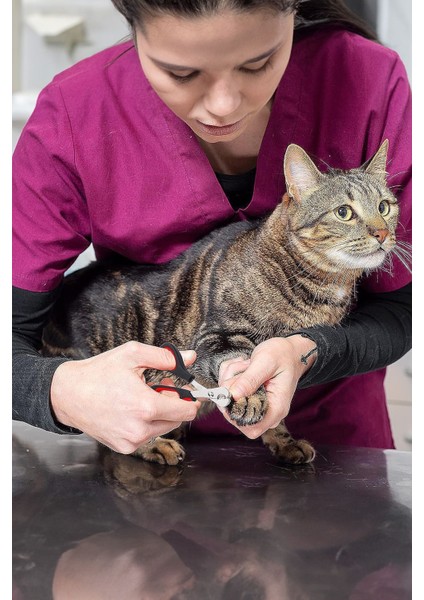 Kedi ve Küçük Irk Köpek Tırnak Makası Orta Boy Yeni Model Alet