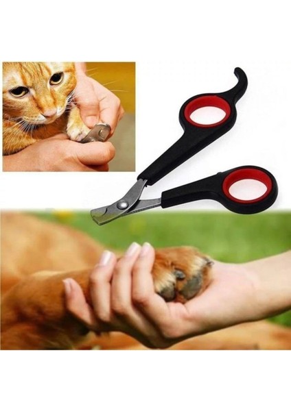 Küçük Boy Kedi Köpek Evcil Hayvan Tırnak Makası