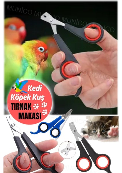 Yavru Hayvanlar Için Güvenli Tırnak Evcil Hayvanlar Için Tırnak Makas Paslanmaz Çelik