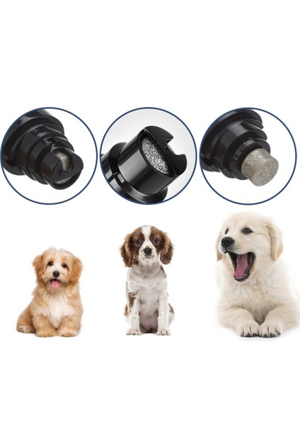 Evcil Hayvan Tırnak Kesme Düzeltme Aleti Kedi Köpek Pedikür Manikür Makinesi Şarjlı fiyatları