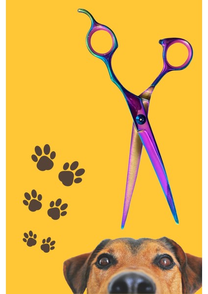 Gökkuşağı Pet Bakım Kavisli Makas 7 Inç Traş Maksı fiyatları