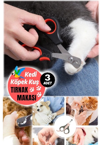 3 Adet Kedi & Köpek Yavrusu Tırnak Kesme Makası Kırılmaz Kopmaz Veterinerlerin Tercihi Önerdiği modelleri