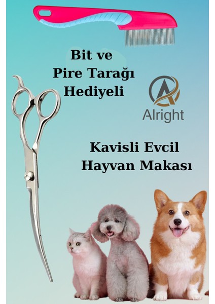Kavisli Gümüş Profesyonel Evcil Hayvan Kedi ve Köpek Tasarım Makası Bit ve Pire Tarağı