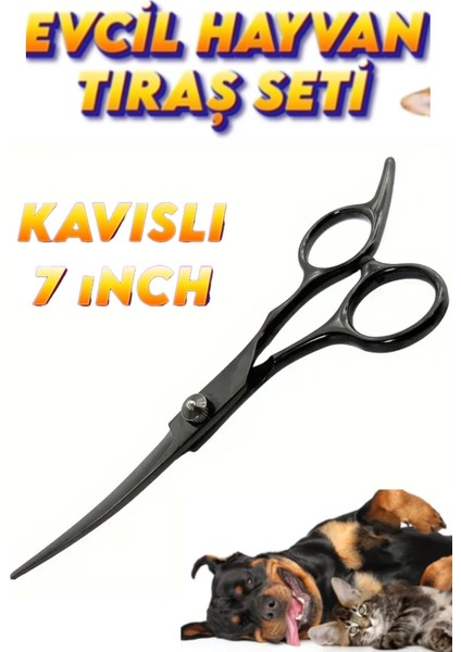 7 Inç (Deri Çanta Hediyeli) Siyah Evcil Hayvan Özel Tıraş Kavisli Makas