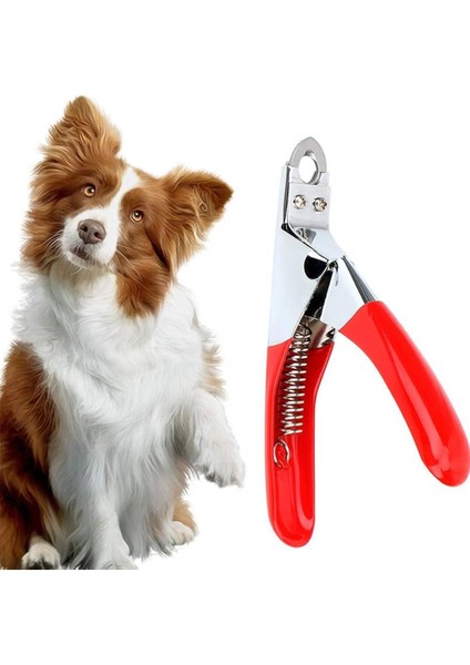 Kedi Köpek Giyotin Tırnak Makası Tırnak Kesme Makası Törpü Pati Temizleme Kedi Köpek Tarağı