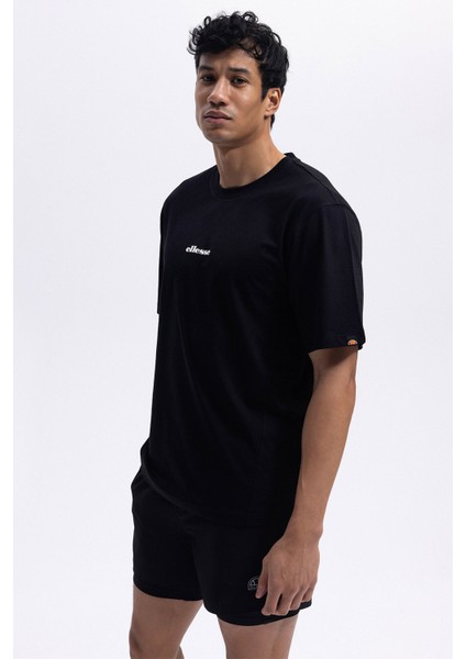 Pamuk Regular Fit Bisiklet Yaka Logolu T Shirt Erkek T Shirt EM391 modelleri