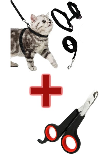 Kedi Köpek Tırnak Makası ve Renkli Göğüslüklü Gezdirme tasması Buharli Kedi Tarak Kedi Salincagi