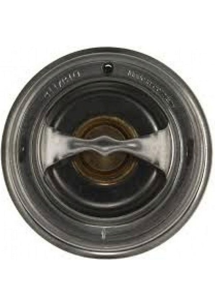 Termostat 87 C Mercedes M102 M103 OM615 OM904 W201 W202 W124 W210 W140 . Axor 1838 Gnzrz