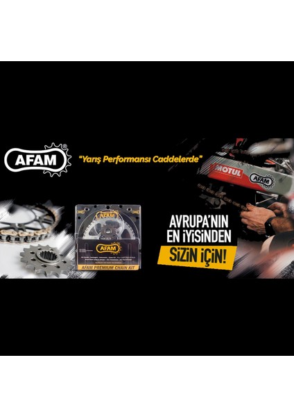A520-118XSR-G 2020-2023 Ktm 390 Rc Uyumlu Zincir Xsr-G Xring Gold (Sarı) Renk