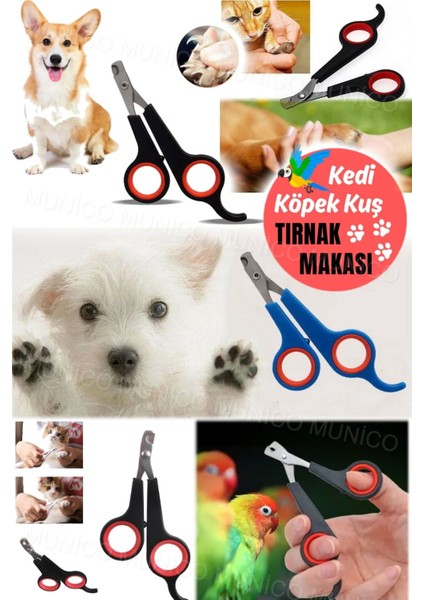 Pet Köpek Kedi Tırnak Makası Küçük Hayvan Pençe Bakım Makası Kaliteli Paslanmaz Çelik Makası Kedile