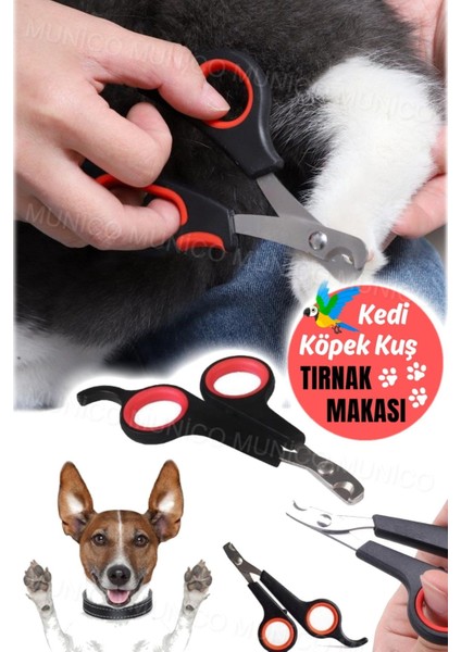 Pet Köpek Kedi Tırnak Makası Küçük Hayvan Pençe Bakım Makası Kaliteli Paslanmaz Çelik Makası Kedile fiyatları