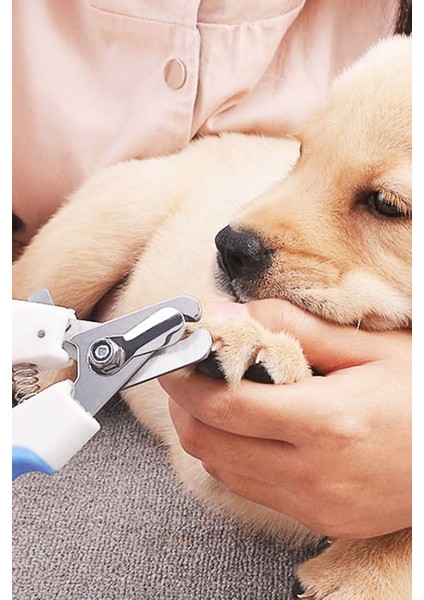 Köpek Tırnak Makası modelleri