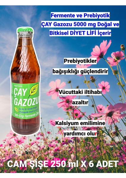Çay Gazozu - Cam Şişe 250 ml x 6 Adet