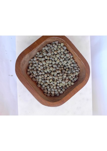 Bamya Tohumu 100 gr