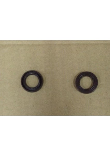 Yag Keçesi 19.8X30X5R