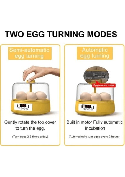 Mini Otomatik Ev Tipi Kuluçka: Elektrikli Tavuk ve Kuş Kuluçka Makinesi 6 Yumurtalı Mx-6 ( Lisinya )
