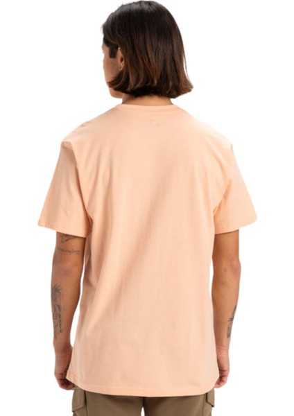 Typed Out Ss fırsatları