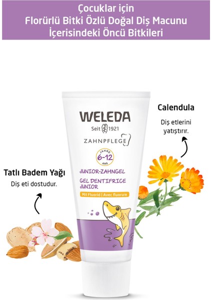 Bebek ve Çocuklar Için Organik Florürlü Diş Macunu 50ML (0-6 Yaş)