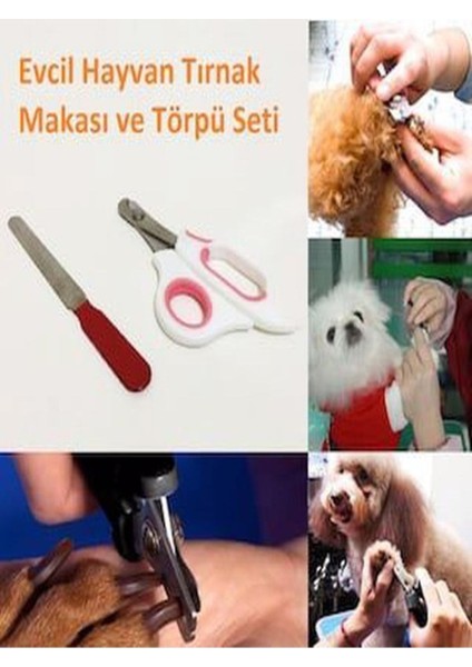 Kedi Köpek Tırnak Makası Ve Törpü Seti Evcil Hayvan Manikür Pedikür Kesme Düzeltme Aleti fırsatları