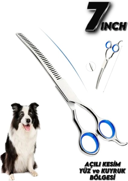 7 Inç Titanium Kavisli Köpek Tüy Bakım Makası Açılı Kesim Kavisli Tüy Makası