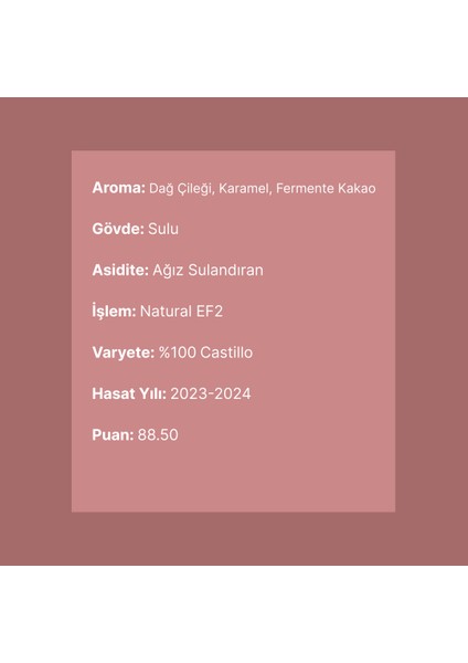 Jairo Arcila Castillo Natural Ef2 - Colombia - Hediyelik Nitelikli Filtre Kahve 30 gr - Kahve Çekirdeği - Çekirdek Kahve - Specialty Coffee - Third Wave Coffee