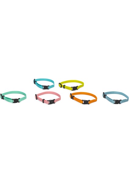 Yavru Köpek Tasması 6 Lı Set 25 cm Gnzrz
