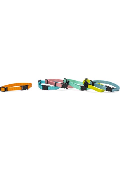 Yavru Köpek Tasması 6 Lı Set 25 cm Gnzrz