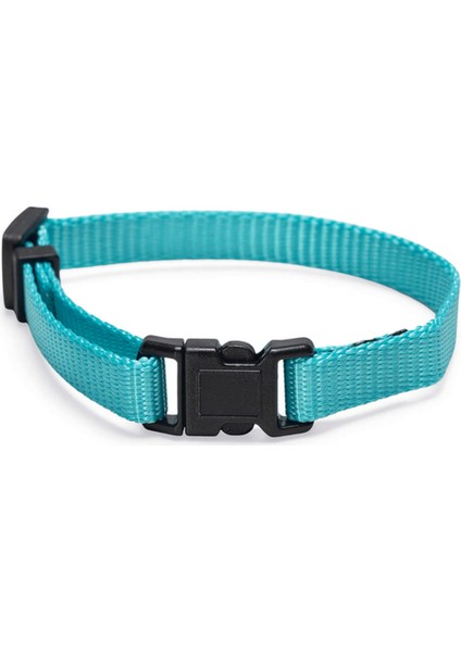 Yavru Köpek Tasması 6 Lı Set 25 cm Gnzrz