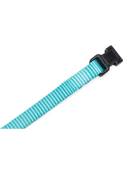 Yavru Köpek Tasması 6 Lı Set 25 cm Gnzrz