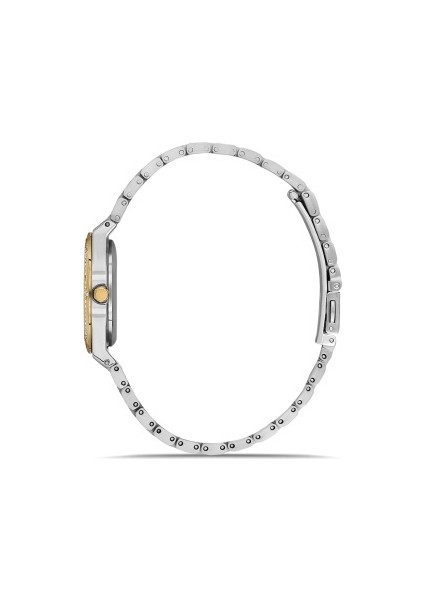 FL21518AWT-D Quartz Çelik Altın/gri 30 mm Kadın Kol Saati fiyatları