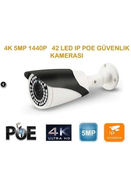 5 Mp 1440P 42 LED 3.6 mm Dış Mekan Poe Ip Güvenlik Kamerası