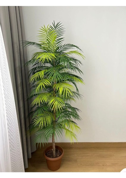 Yapay Areka Palmiyesi Ağaç 170 cm