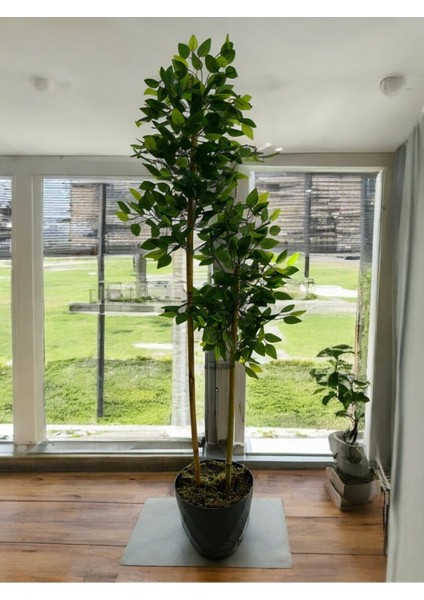 Yapay Bambu Ağaç Benjamin 150 cm Yakamoz Saksı Dahildir