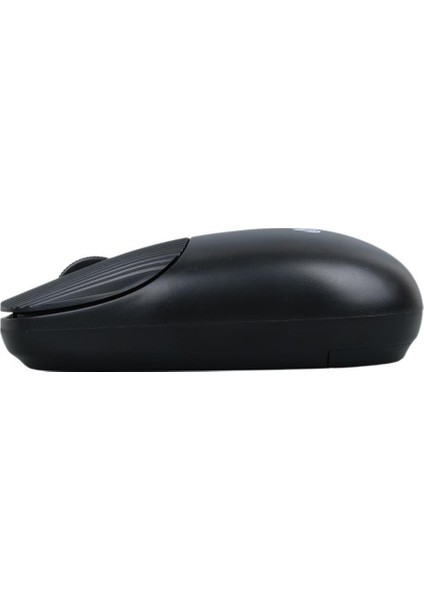 HL-21808 Siyah 1000 Dpı 2.4ghz Kablosuz Bluetooth Mouse