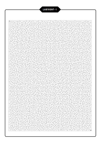 Yetişkinler Için Çok Zor Labirent Bulmaca Kitap Seti (3 Kitap 100 Labirent Cevaplarıyla)