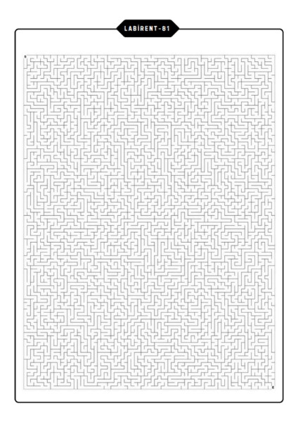 Yetişkinler Için Çok Zor Labirent Bulmaca Kitap Seti (3 Kitap 100 Labirent Cevaplarıyla)