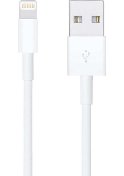 DK-18295 Lightning 1 Metre Iphone Şarj-Data Kablosu