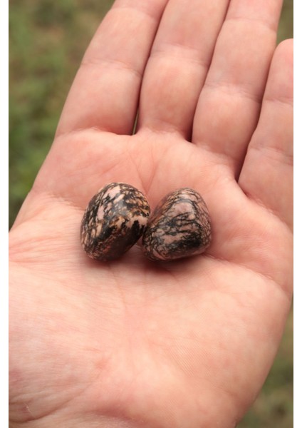 Sertifikalı Rodonit Tambur Kütle Doğal Taş fiyatları