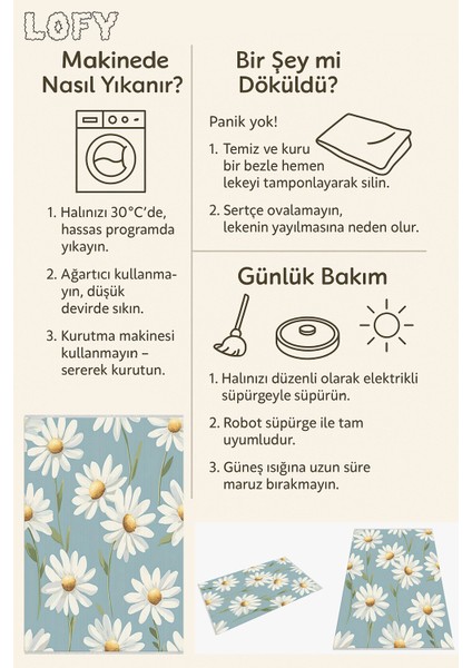 Mavi Zemin Üzerine Beyaz Papatya Desenli Halı, Bahar Esintili Modern Dekoratif Model