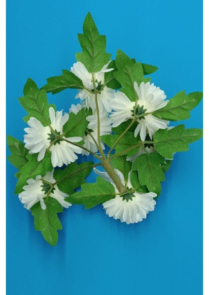 Büyük Demet Krizantem Kafalı Karanfil Pampas Okaliptus Sarkan Lale Demeti Çit Yapraklı Kokina modelleri