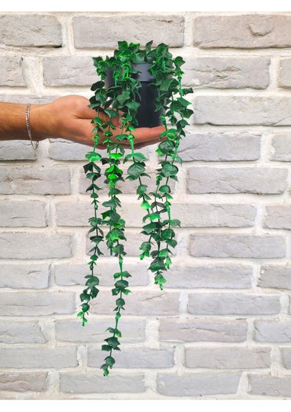 Siyah Saksılı 7 Dallı Yeşil Sarkıt Okaliptus Yapay Bitki Çiçek Dekor 50 cm modelleri