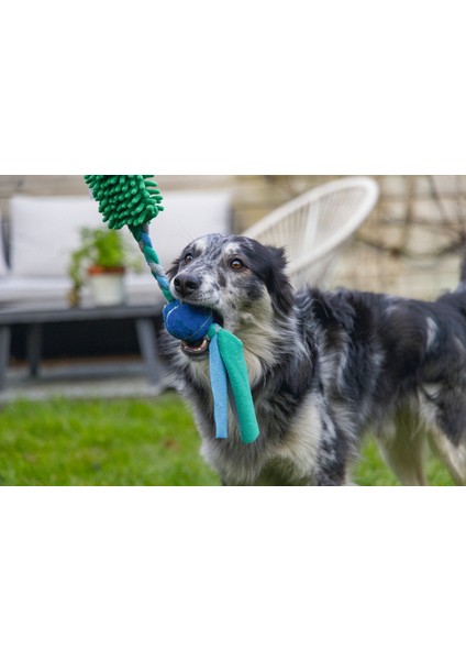 Köpek Oyuncağı, Tut Getir Tenis Toplu, Peluş, Mavi-Yeşil, 90x10x6cm modelleri