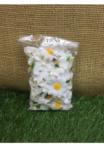 25'li Mini Papatya Paketli