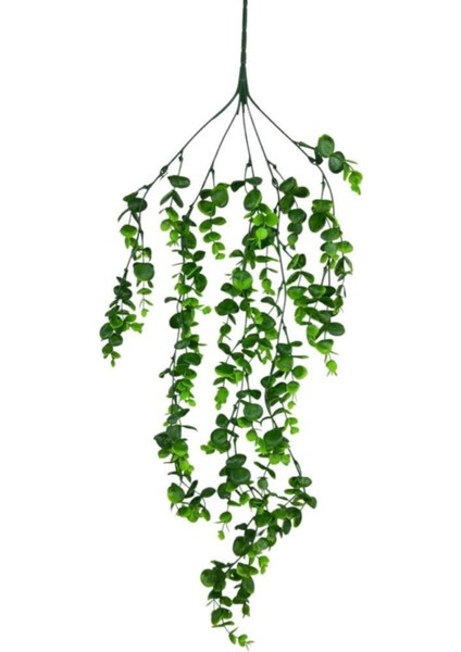 Yapay Çiçek 5dal Sarkan Okaliptus Şimşir Yapay Sarmaşık 70 cm