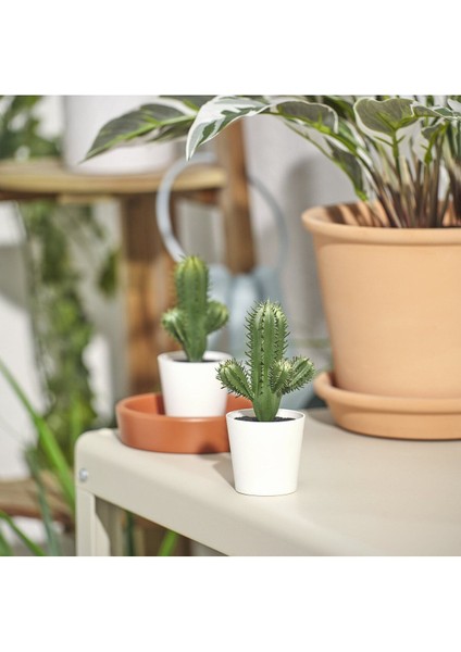 Fejka Kaktüs 14 cm Mini Saksılı Yapay Kaktüs Bitki Çiçek