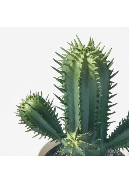 Fejka Kaktüs 14 cm Mini Saksılı Yapay Kaktüs Bitki Çiçek